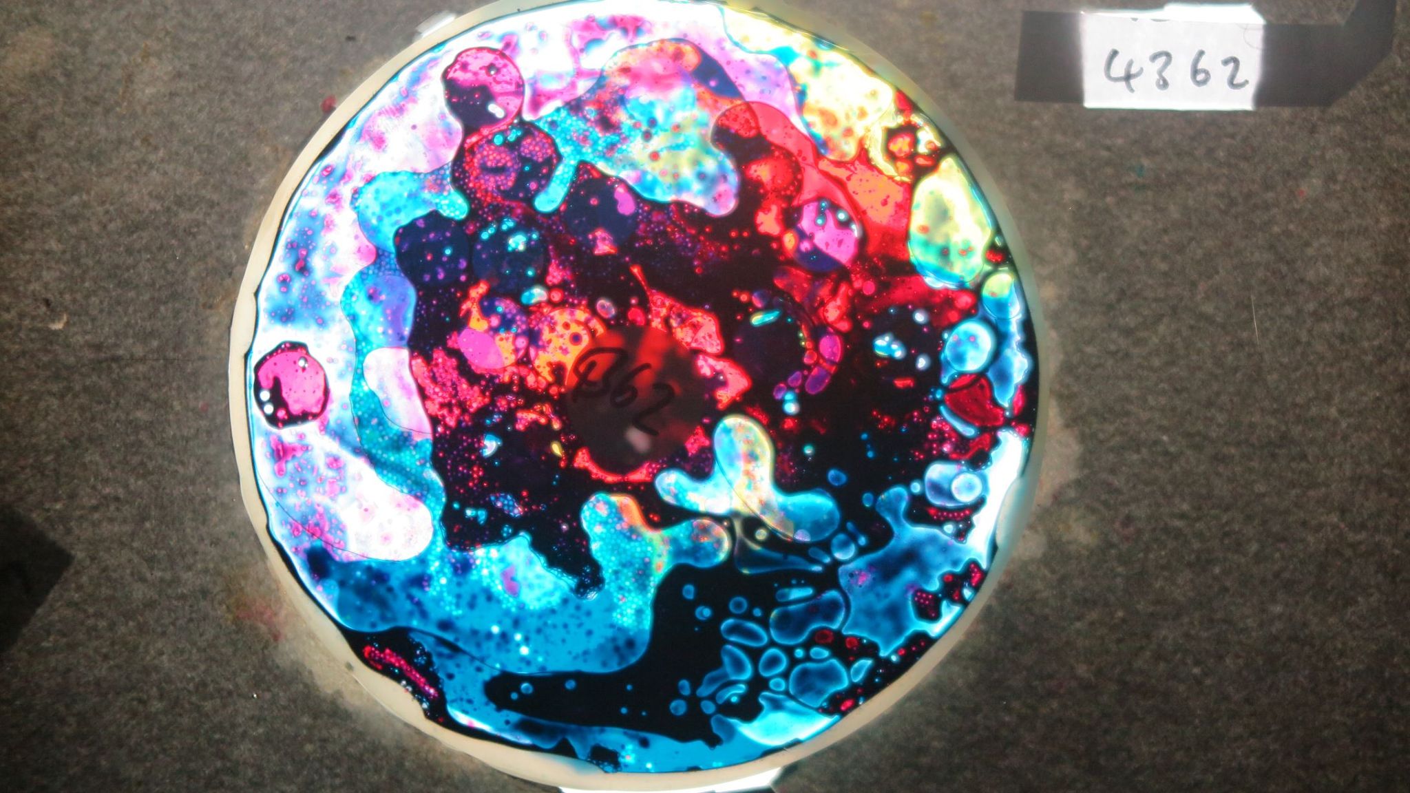 BV4362 bubble vision oil wheel